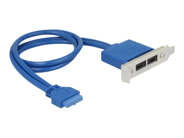 Delock Slot bracket - USB-Konsole - 19-poliger USB 3.0 Kopf (W)
