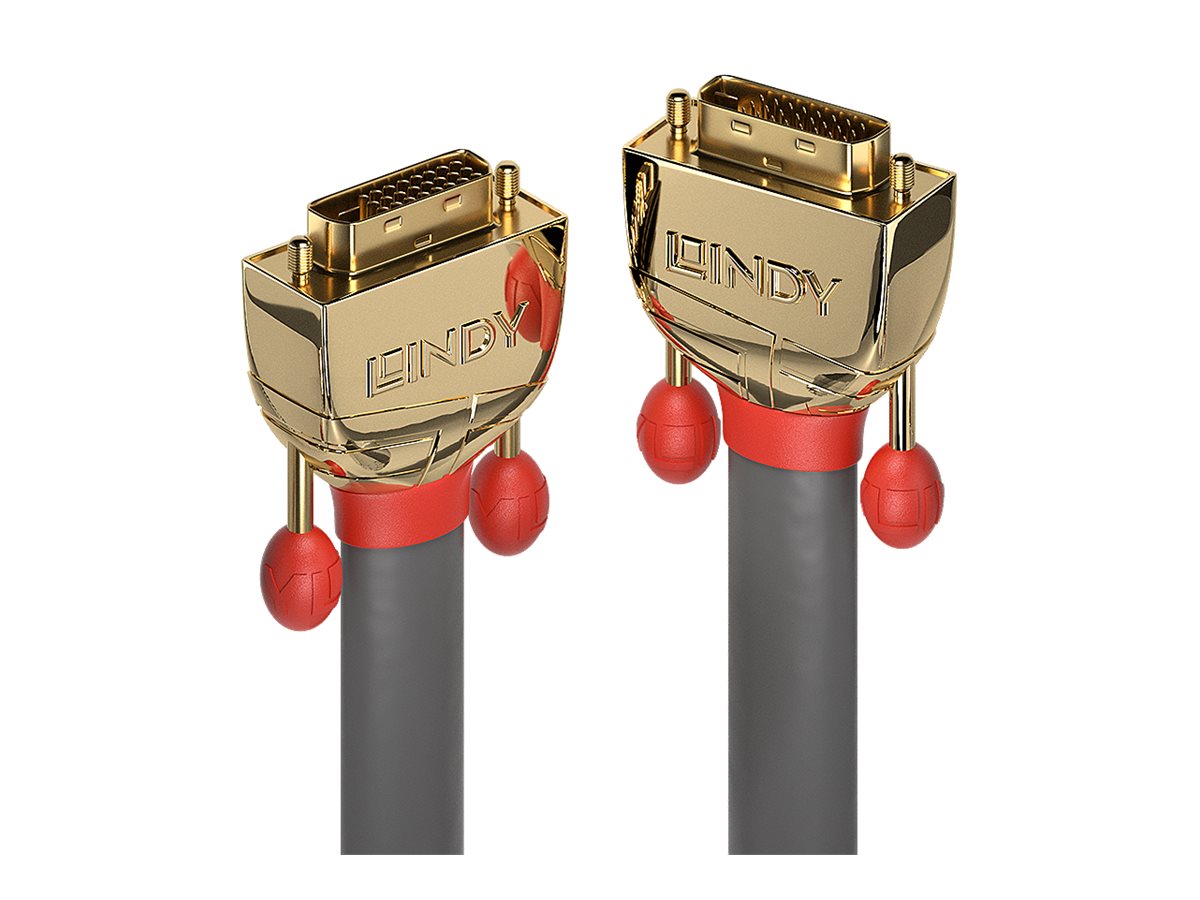 Lindy Gold - DVI-Kabel - Dual Link - DVI-D (M)