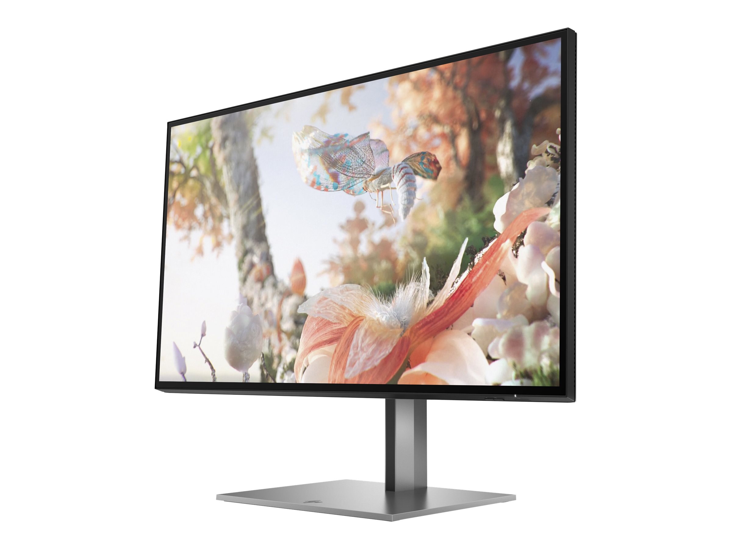 HP Z25xs G3 - LED-Monitor - 63.5 cm (25) - 2560 x 1440 QHD @ 60 Hz, Ansicht 5