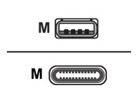 Equip USB-Kabel - USB (M) zu 24 pin USB-C (M)