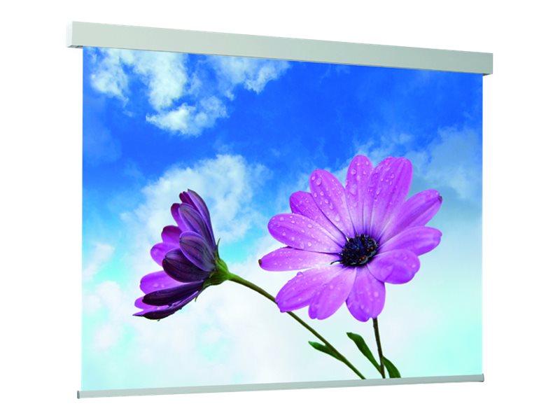 Medium Electric Exclusiv Pro - Leinwand - Deckenmontage möglich Deckenmontage geeignet für Wandmontage - motorisiert - 274 cm (108)