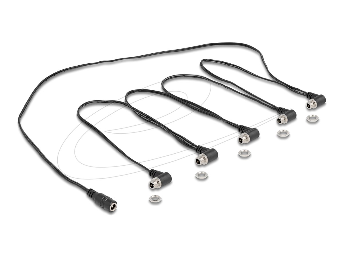 Delock Netz-Splitter - DC Buchse 2.1 x 5.5 mm (W)