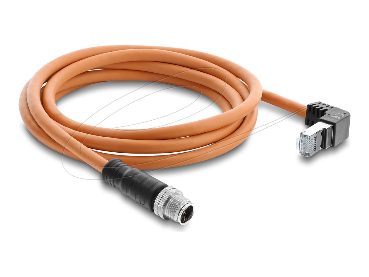 Delock Netzwerkkabel - 8-polig M12 (M) gerade zu RJ-45 (M)