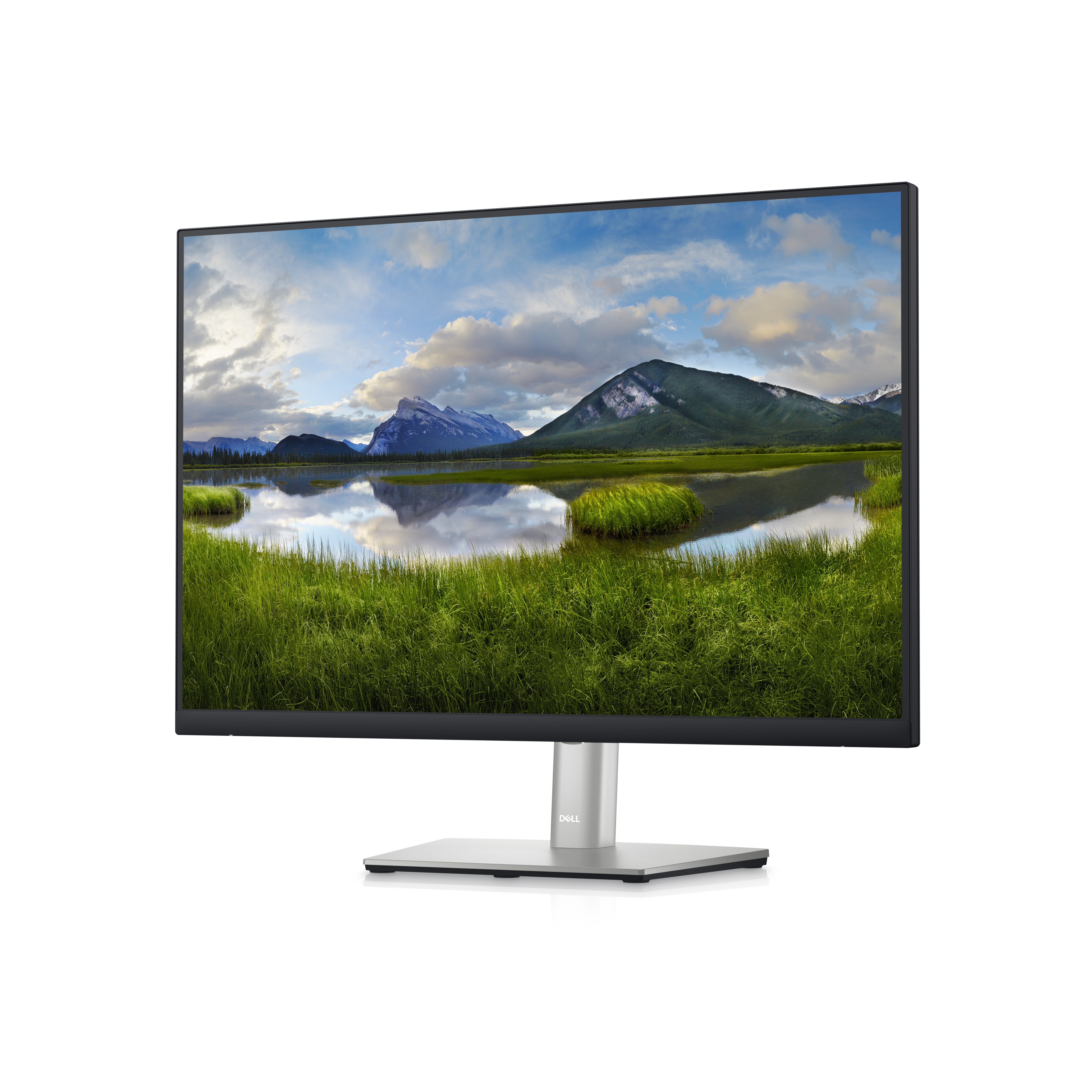 Dell P Series 60,96 cm (24&quot;) Monitor – P2423 - 61 cm (24 Zoll) - 1920 x 1200 Pixel - WUXGA - LCD - 5 ms - Schwarz