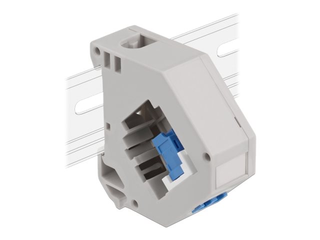 Delock Keystone Jack-DIN-Adapter für Schienenmontage