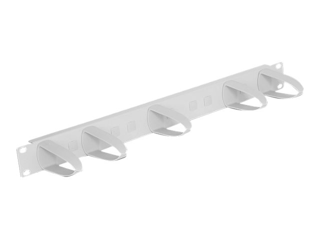 Delock Universal - Kabelmanagement - Rack montierbar - Hellgrau RAL 7035 - 1U - 48.3 cm (19)