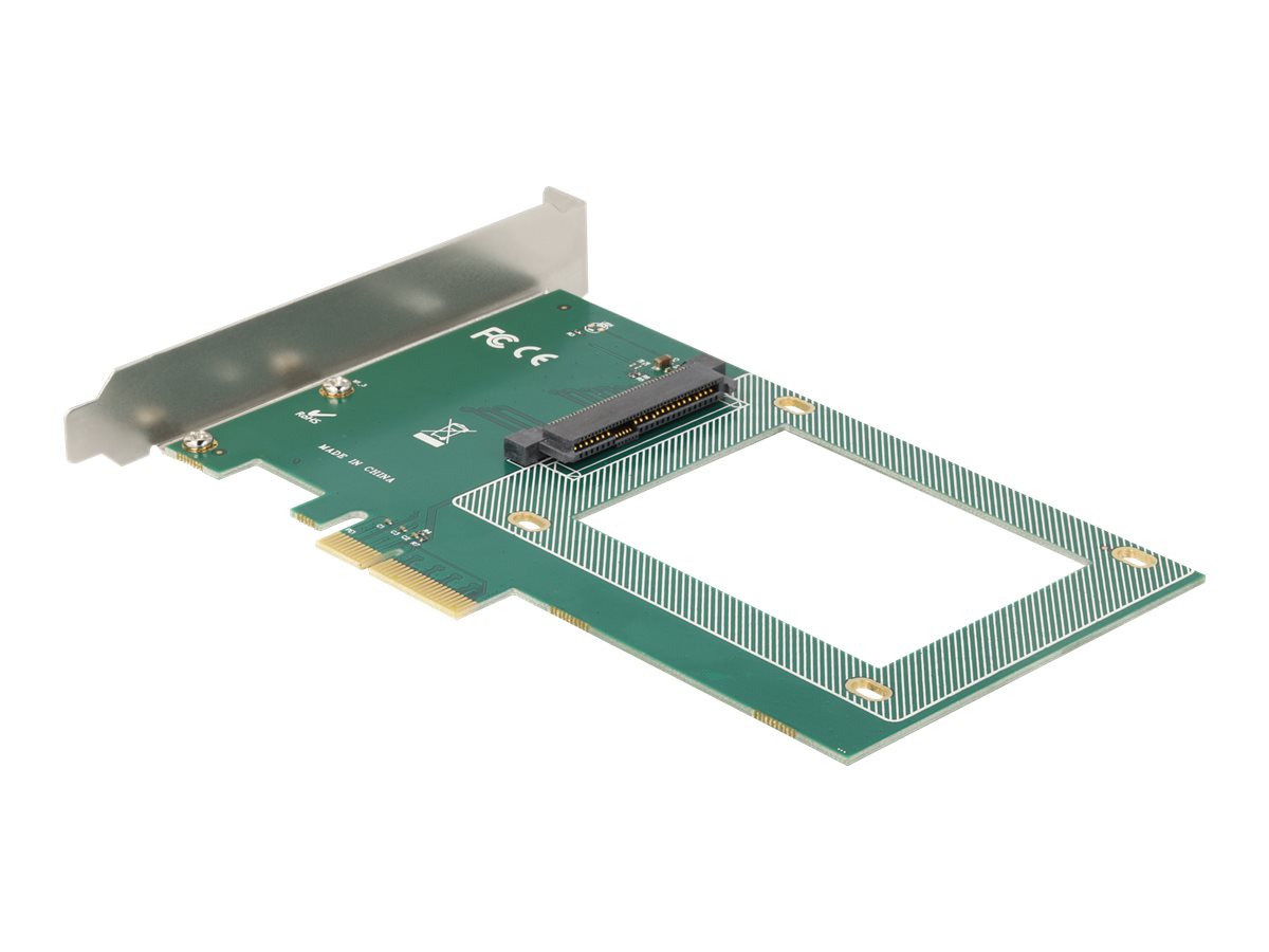 Delock Speicher-Controller - 2.5 (6.4 cm)