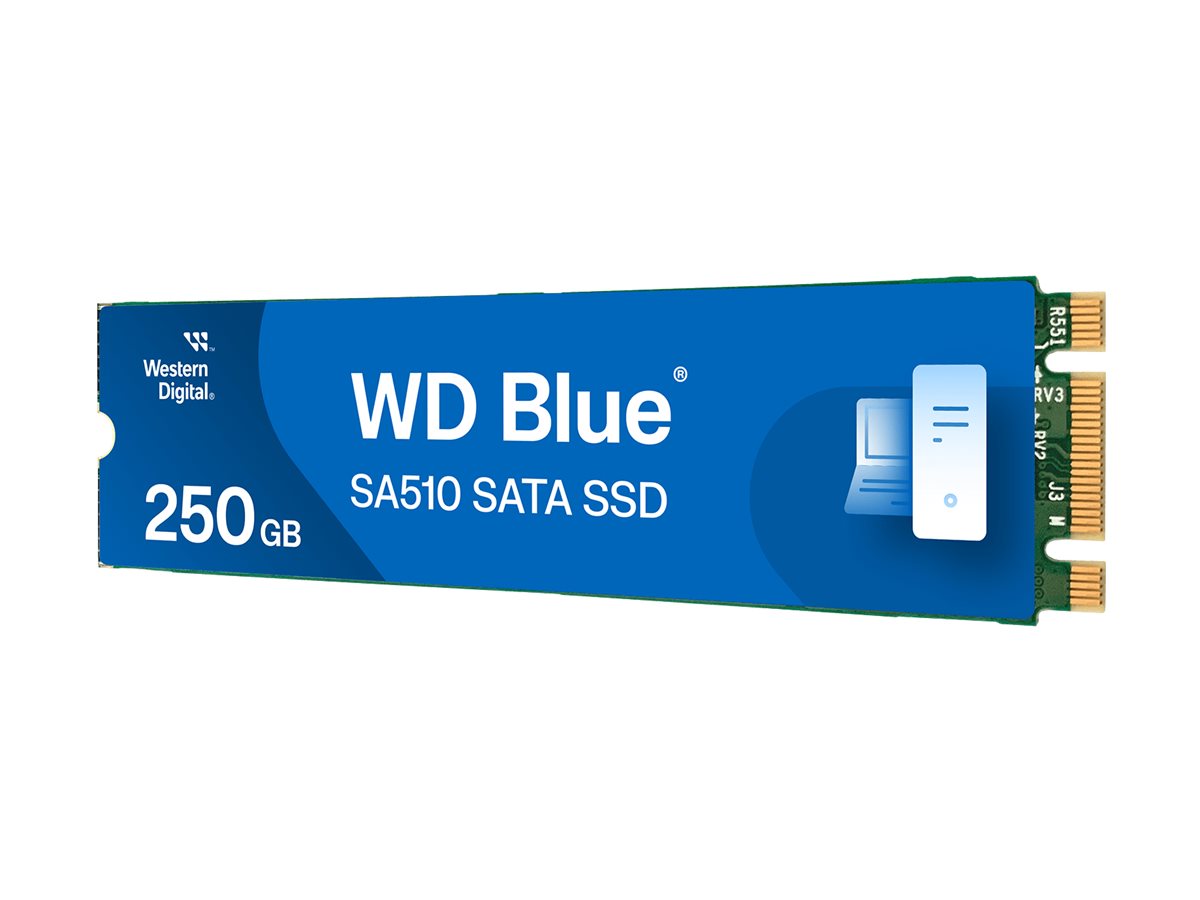 WD Blue SA510 WDS250G3B0B-00AXS0 - SSD - 250