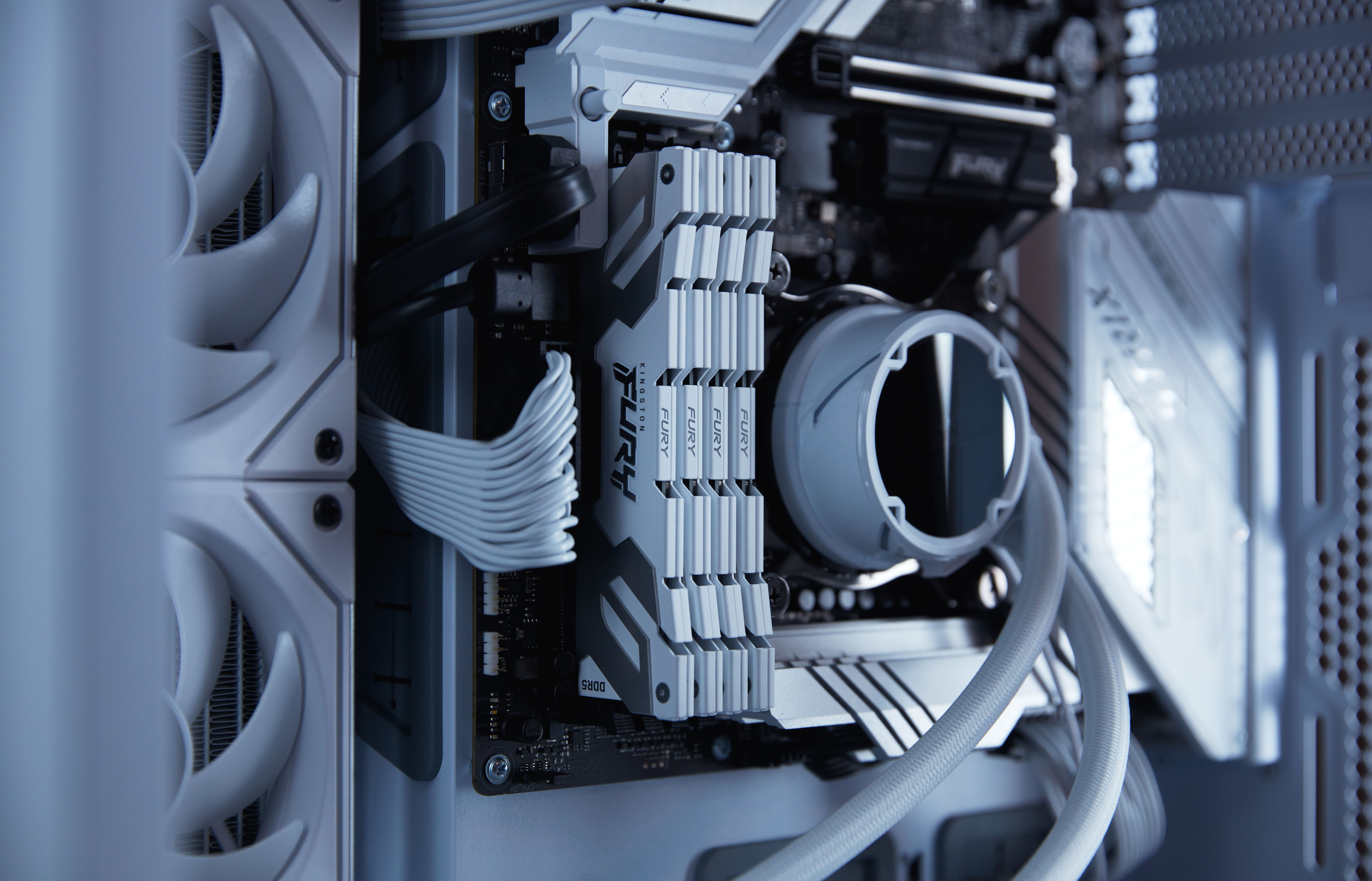 Kingston FURY Renegade - DDR5 - Modul - 16 GB, Ansicht 4