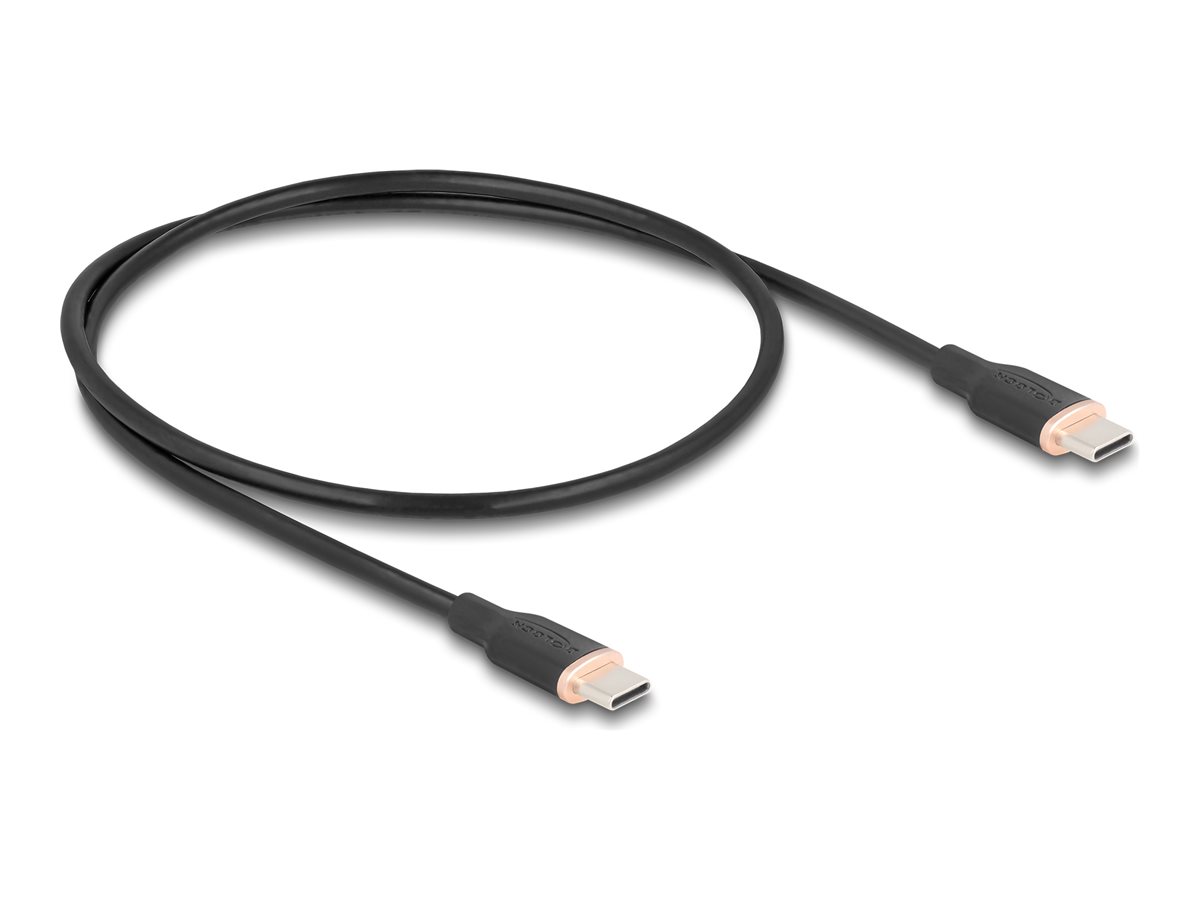 Delock USB-Kabel - USB-C (M) zu USB-C (M)