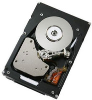 IBM Festplatte - 900 GB - Hot-Swap (81Y9915)