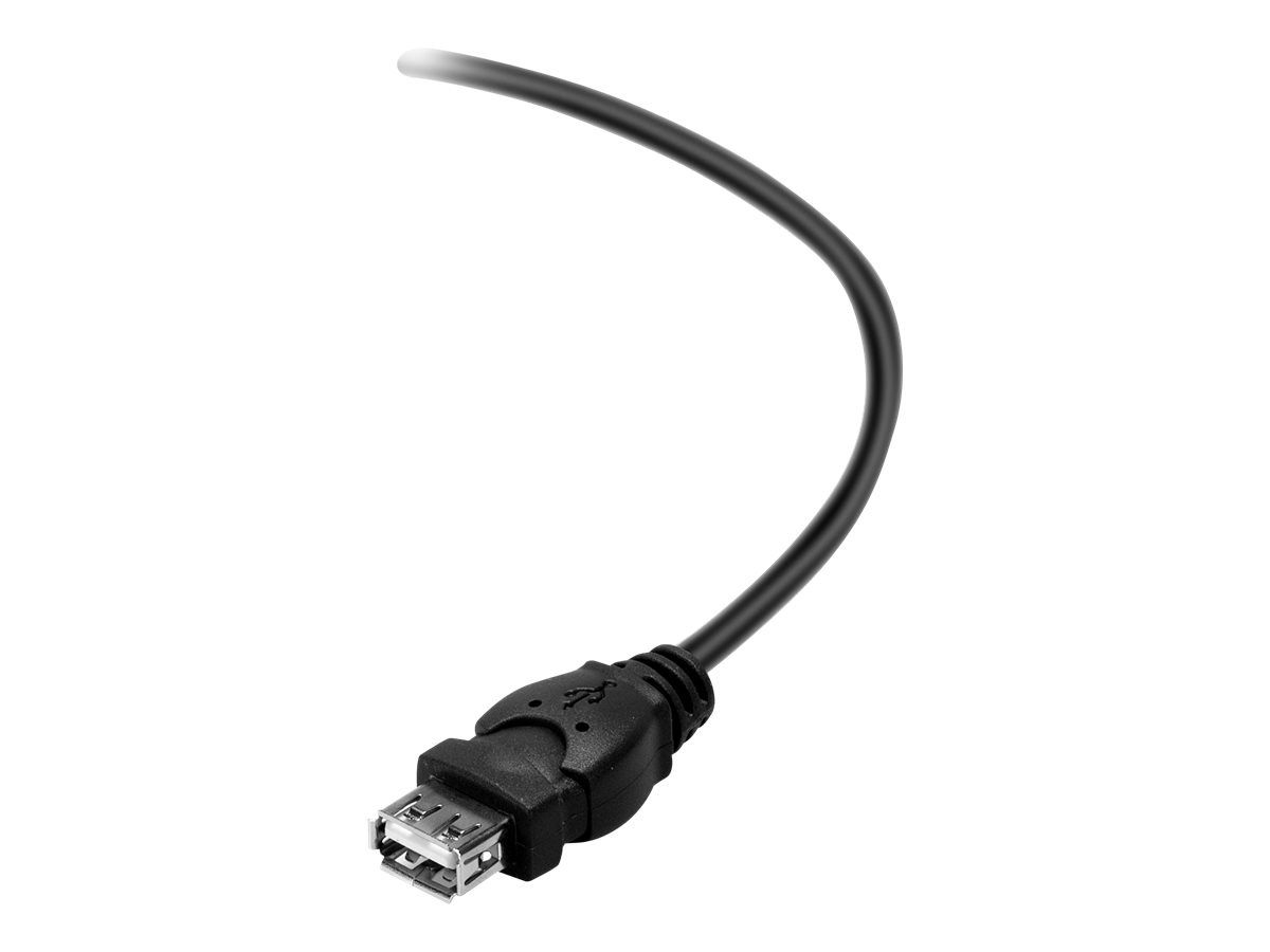 Belkin - USB-Verlängerungskabel - USB (M) zu USB (W) - USB 2.0 - 3 m