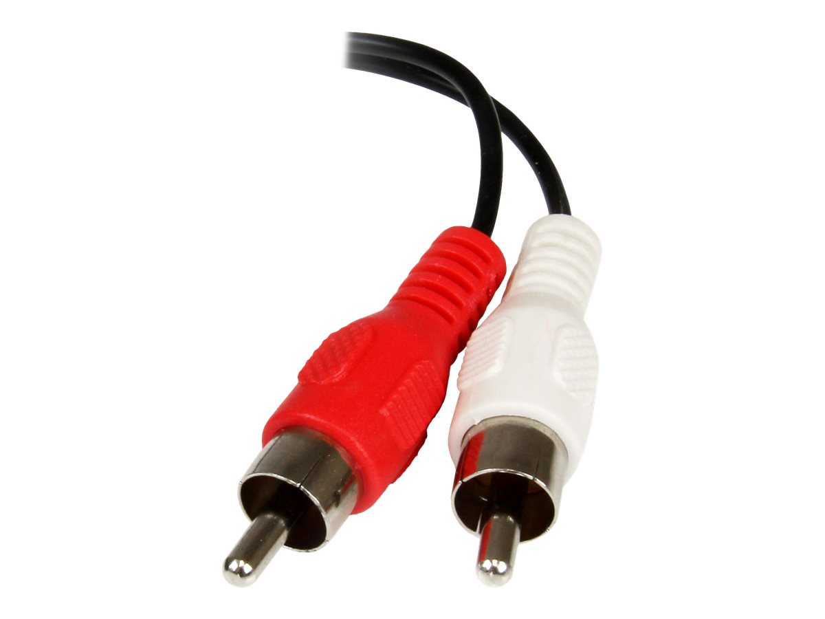 StarTech.com 15cm Audio Kabel 35mm Klinke auf 2x Cinch (BuchseStecker)