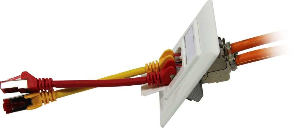 Synergy 21 S216359 - RJ-45 - Grau - 1 Stück(e), Ansicht 4