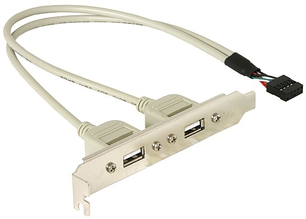 Delock Slotbracket 1x internal USB 5pin &gt; 2x USB2.0 external - 0,3 m - USB A - Weiß