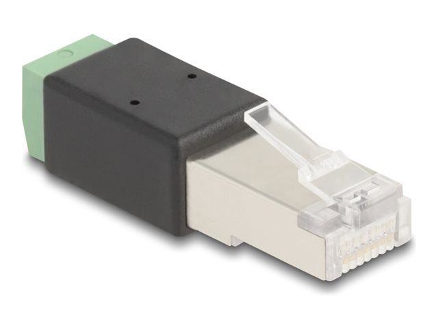 Delock Netzwerkanschluss - RJ-45 (M) zu 2-polige Klemmleiste