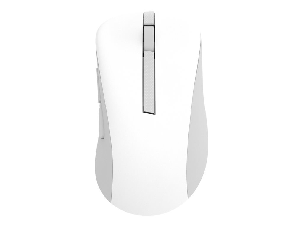 ASUS MD102 - Maus - ergonomisch - optisch - 5 Tasten - kabellos - Bluetooth, 2.4 GHz - kabelloser Empfänger (USB)
