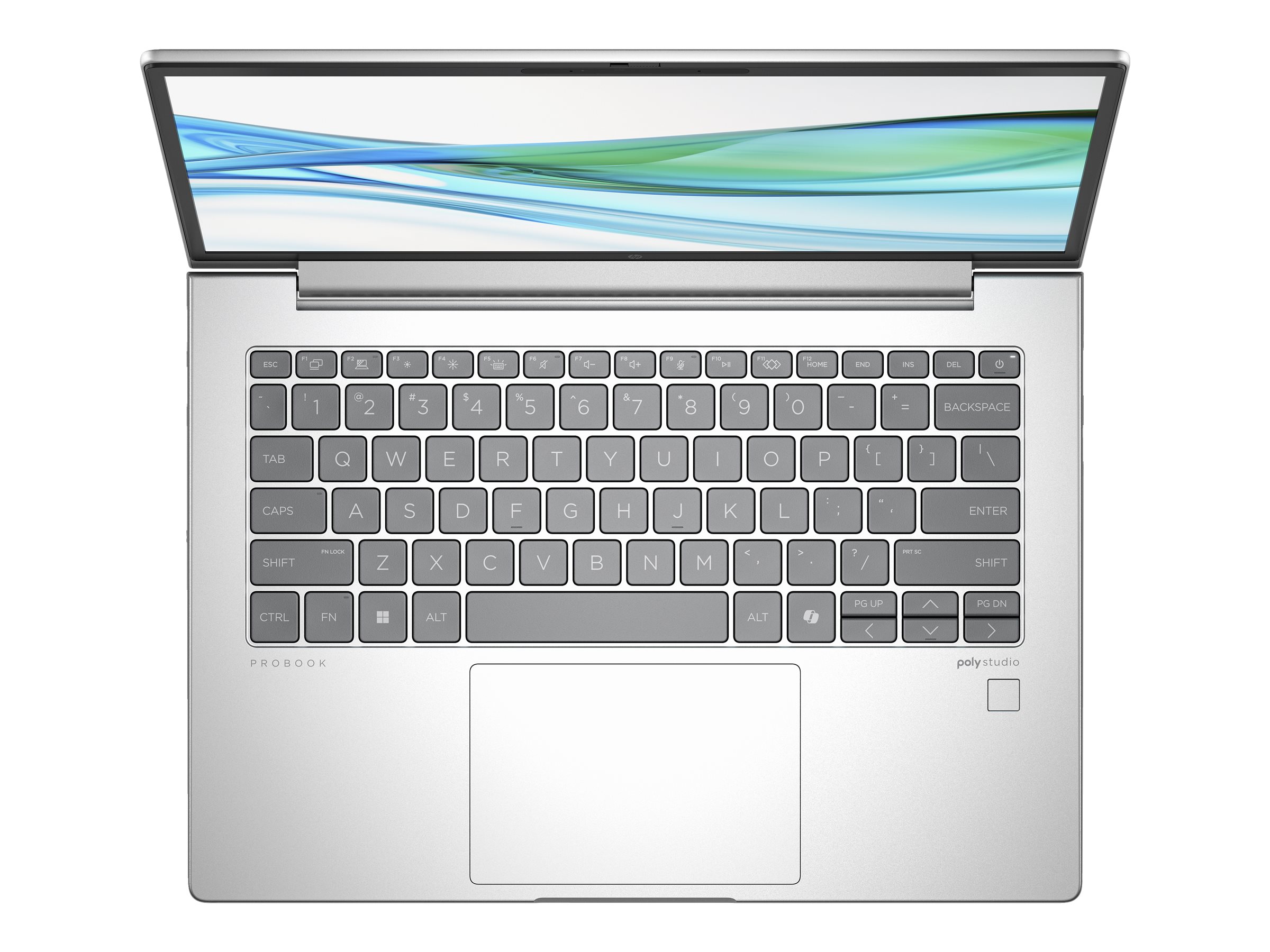 HP ProBook 445 G11 Notebook - AMD Ryzen 5 7535U / 2.9 GHz - Win 11 Pro - Radeon 660M - 8 GB RAM - 256 GB SSD NVMe - 35.6 cm (14")