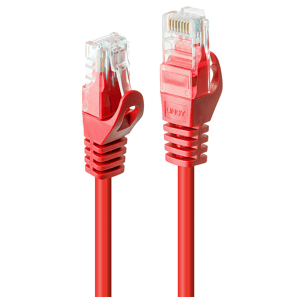 Lindy Basic - Patch-Kabel - RJ-45 (M) zu RJ-45 (M), Ansicht 2