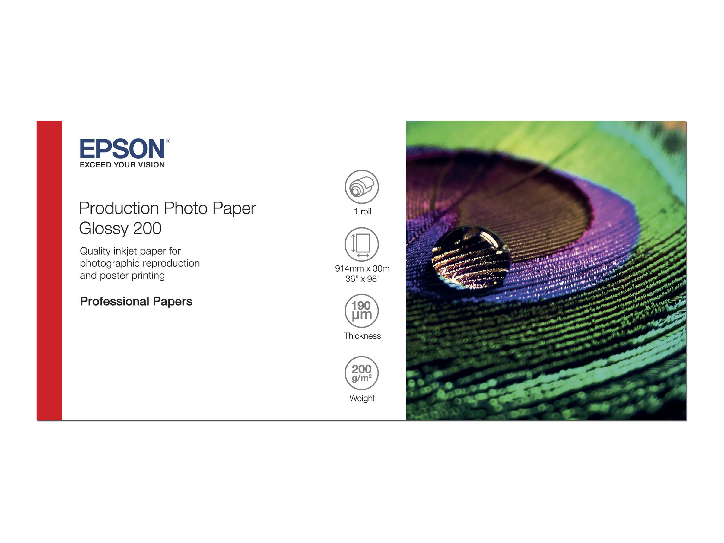 Epson Production - Polyethylen (PE) - glänzend - mikroporös - 200 Mikron - Rolle (91,4 cm x 30 m) - 200 g/m² - 1 Rolle(n) Fotopapier - für Stylus Pro 9890, SureColor P10000, P20000, SC-P10000, P20000, P8000, P9000, P9500, T7200