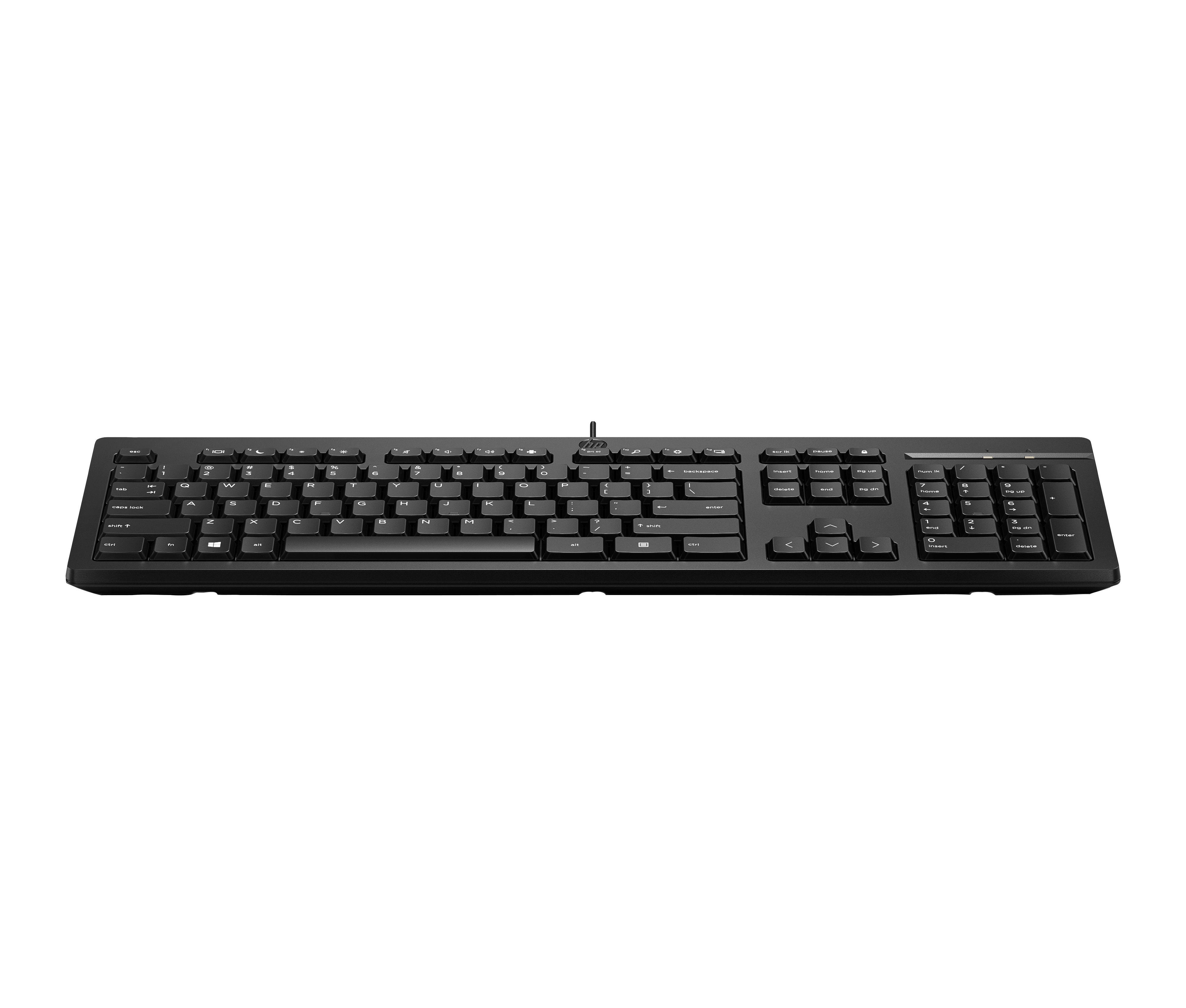 HP 125 - Tastatur - USB - für HP 295 G8 - TL: Spanisch, QWERTY, Ansicht 2
