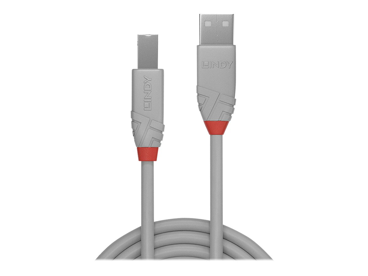 Lindy Anthra Line - USB-Kabel - USB (M) zu USB Typ B (M) - USB 2.0 - 2 m - rund