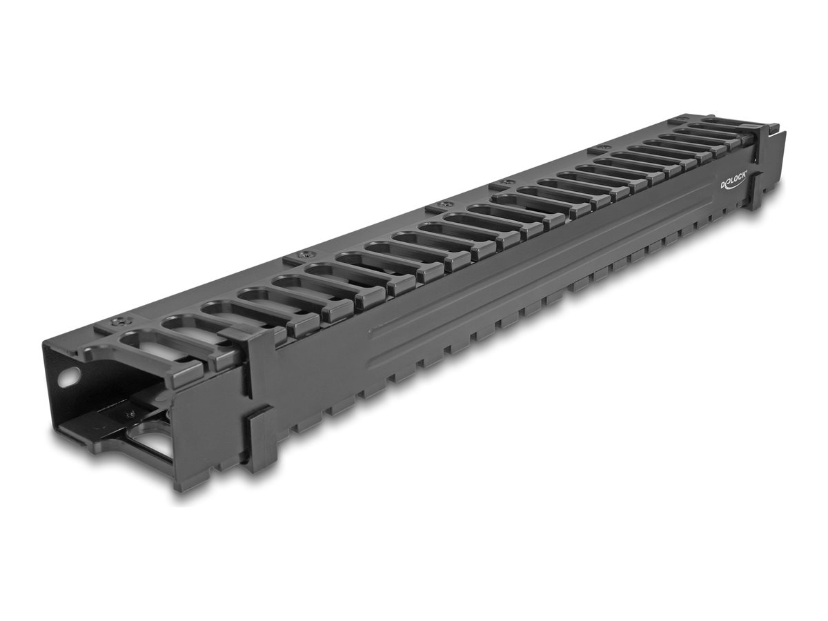 Delock Kabelführungsplatte für Schaltschrank - 3 Öffnungen - Schwarz - 1U - 48.3 cm (19)