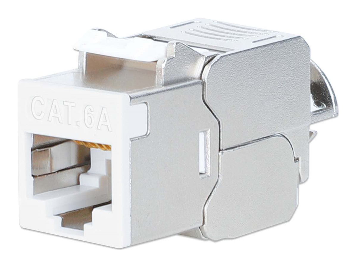 Intellinet Modulare Eingabe - slim, toolless, 10G