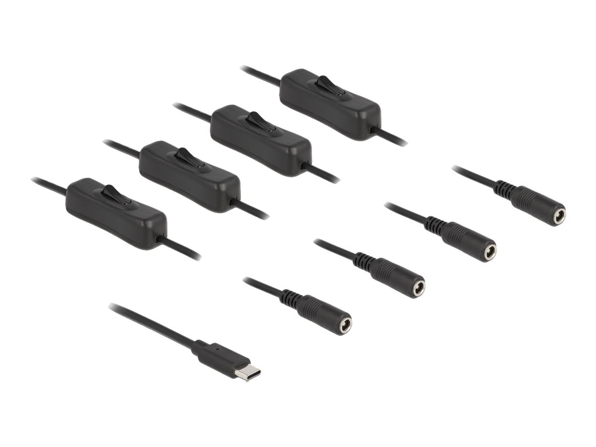 Delock Netz-Splitter - 24 pin USB-C (M) zu Gleichstromstecker 55 x 21 mm (W)