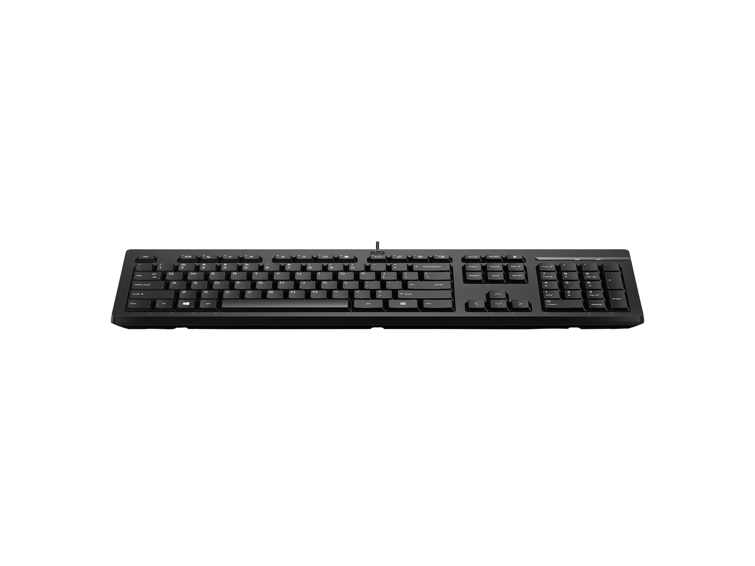 HP 125 - Tastatur - USB - TL: Ukrainisch, QWERTY, Ansicht 4