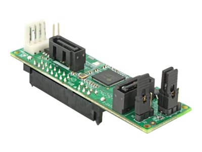 Delock Speichercontroller (RAID) - 2 SenderKanal