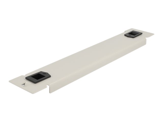 Delock Rack-Blindabdeckungsplatte - Grau