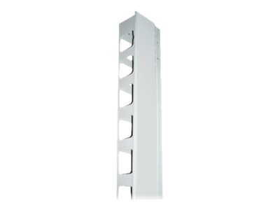 Intellinet 19 Wall Mount Rails 12U Black 2-pack - Kabelführungsplatte für Schaltschrank - Grau RAL 7035 - 42HE - 48.3 cm (19)