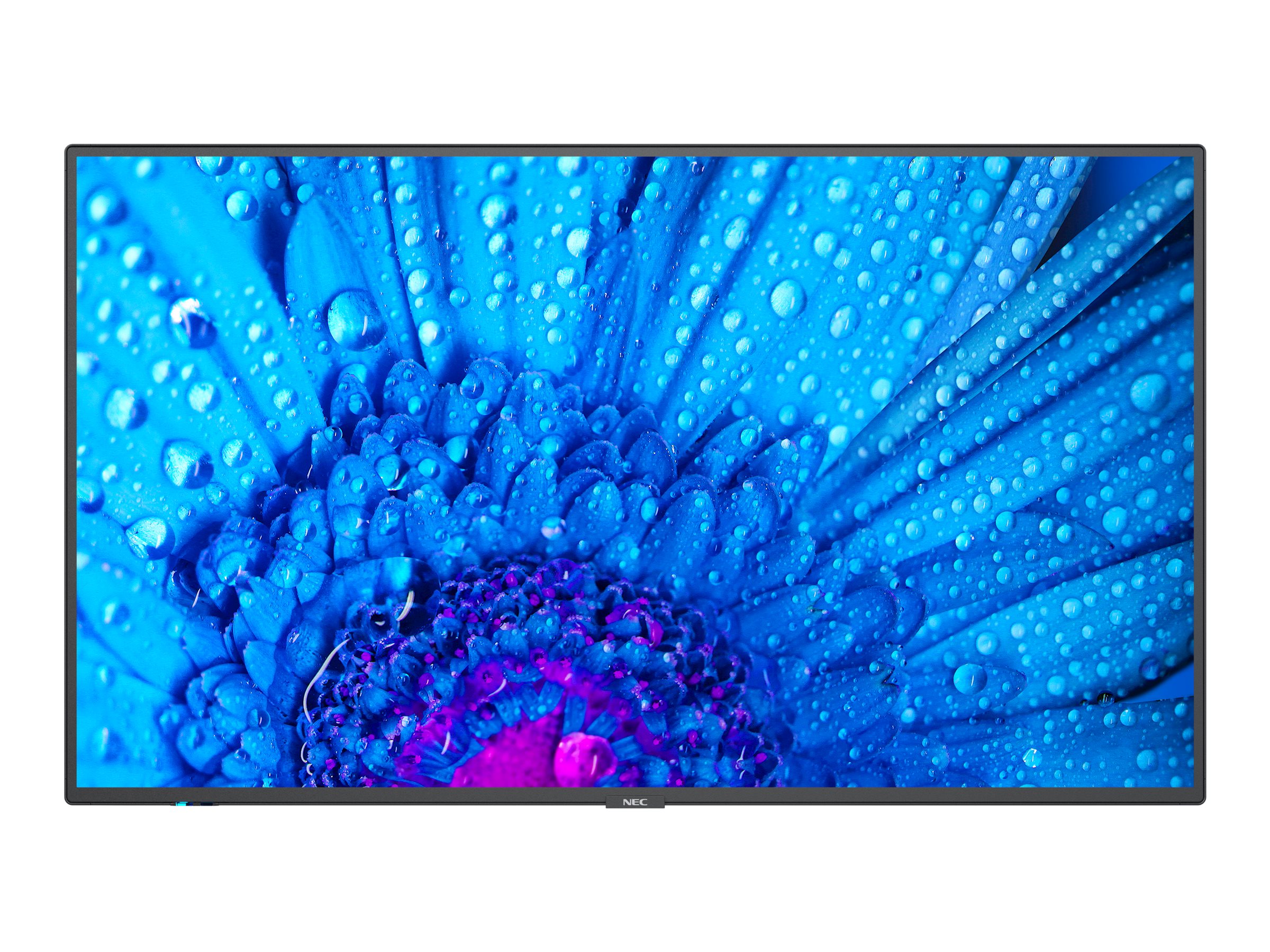 NEC Display MultiSync M491 - Message - M-Series - LED-Monitor - 124.5 cm (49)