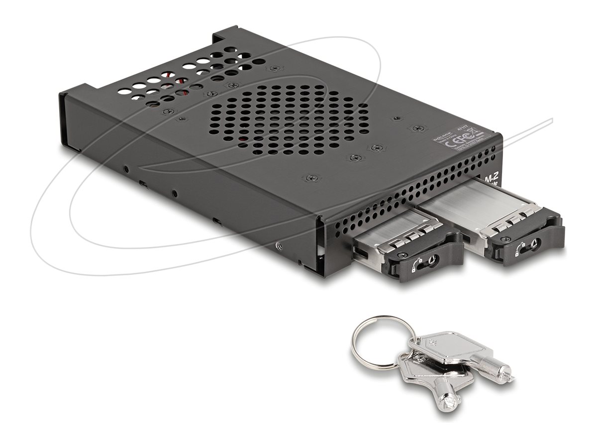 Delock Mobiles Speicher-Rack - M.2