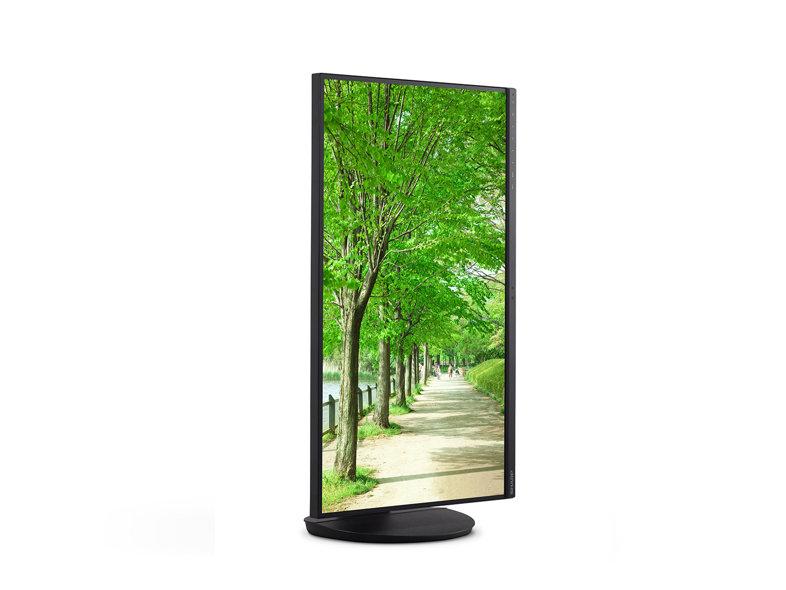 NEC Display Sharp MultiSync EA272Q - LED-Monitor - 68 cm (27), Ansicht 3