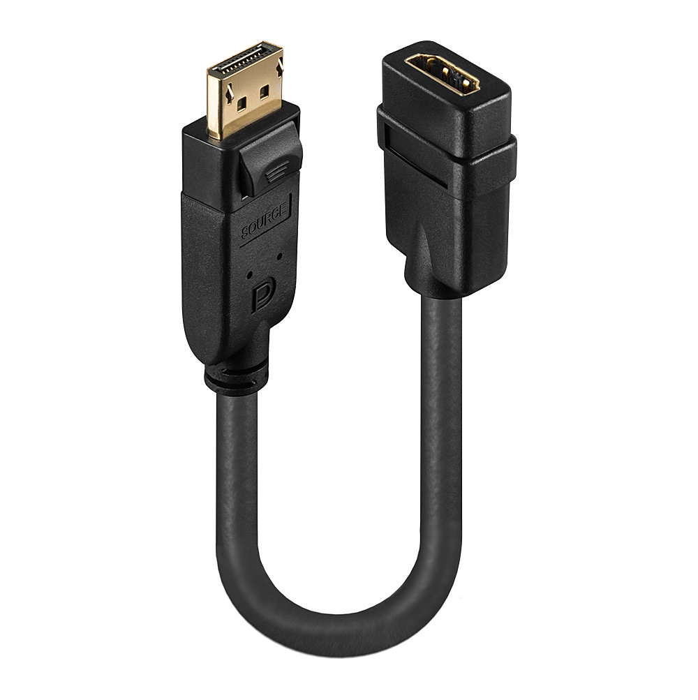 Lindy Video- / Audio-Adapter - DisplayPort (M), Ansicht 3