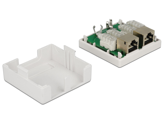 Delock Modular Wall - Wanddose - RJ-45 X 2, Ansicht 3