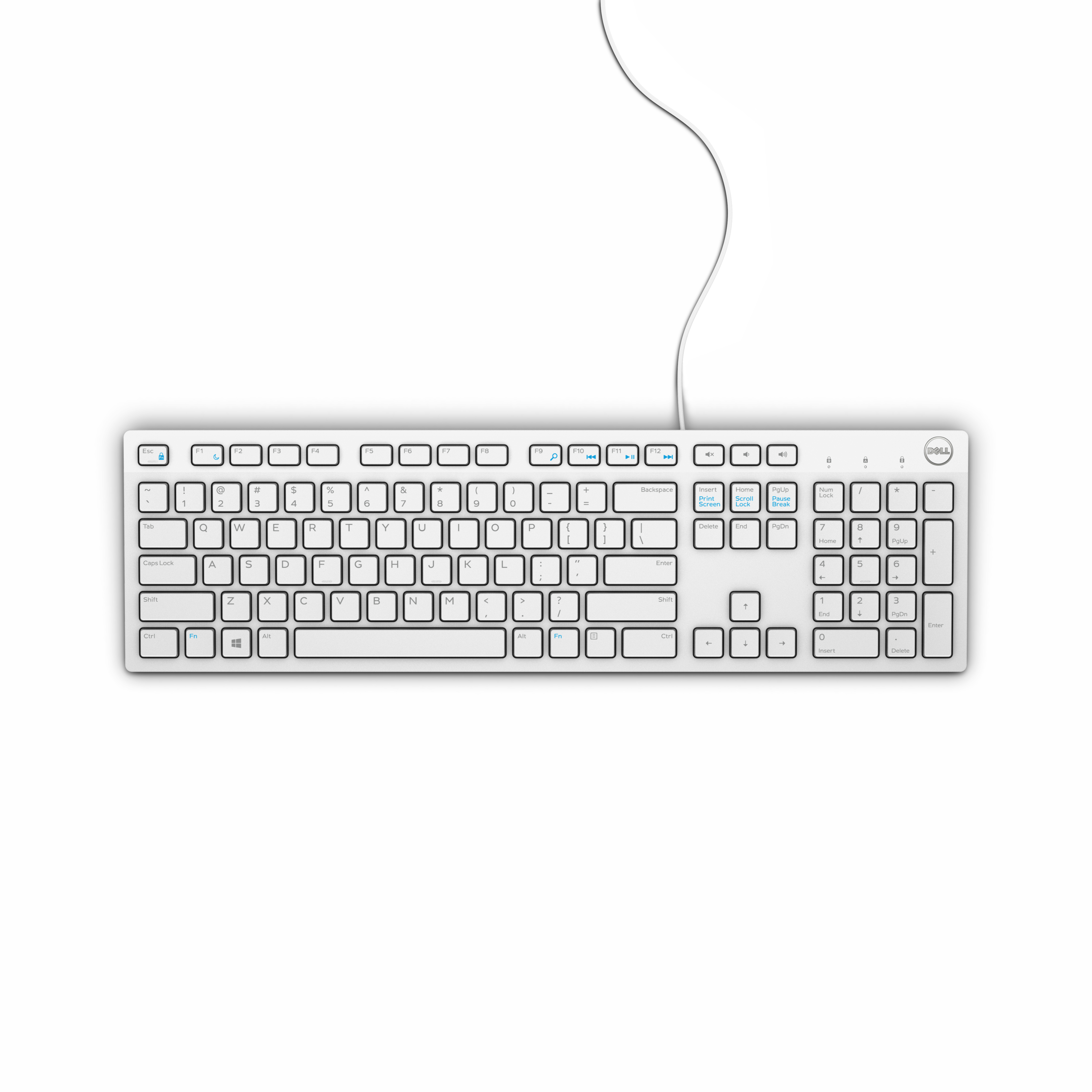 Dell KB216, Volle Größe (100%), Kabelgebunden, USB, QWERTY, Weiß