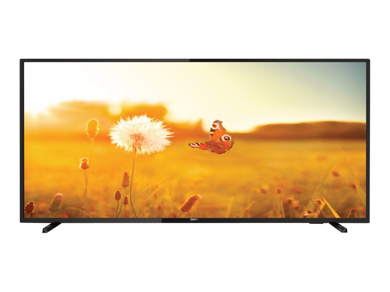 Philips 43HFL3014 - 108 cm (43) Diagonalklasse LCD-TV mit LED-Hintergrundbeleuchtung
