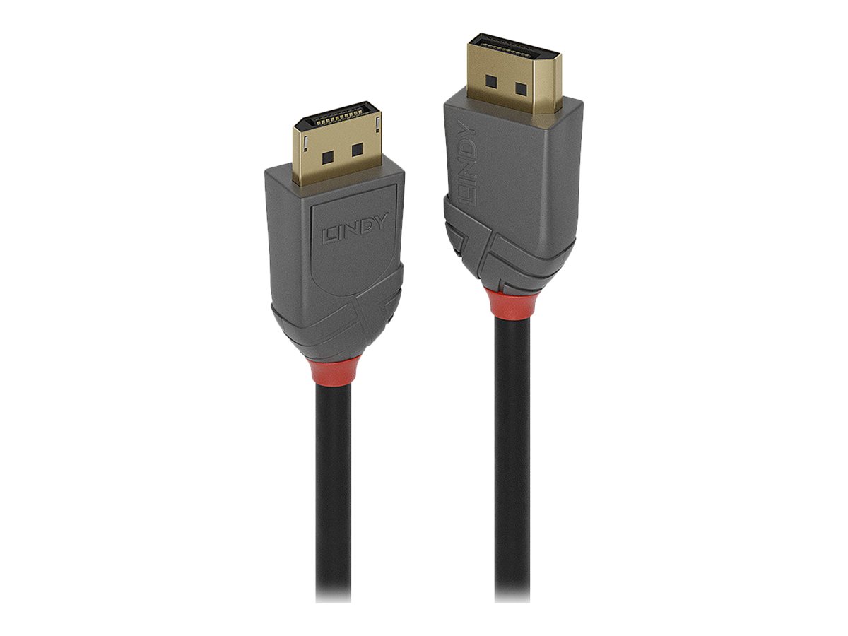Lindy Anthra Line - DisplayPort-Kabel - DisplayPort (M) zu DisplayPort (M) - DisplayPort 1.4 - 2 m - rund