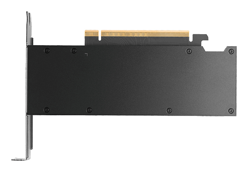 PNY Nvidia Rtx Pro 2000 Blackwell - Grafikkarte - PCI-Express, Ansicht 4