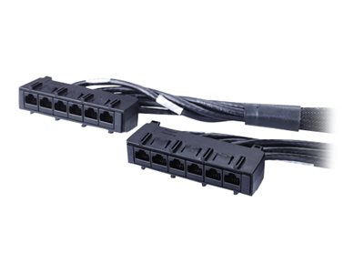 APC Data Distribution Cable - Netzwerkkabel - TAA-konform - RJ-45 (W)