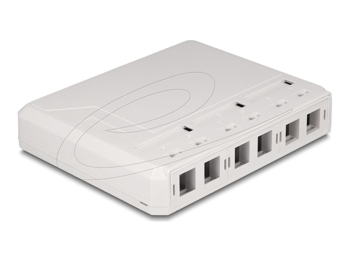 Delock Gehäuse mit modularen Einsätzen - keystone surface mounted box