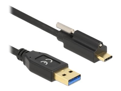 Delock USB-Kabel - USB Typ A (M) zu 24 pin USB-C (M)