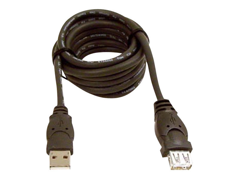 Belkin 10ft USB A/A 2.0 Extension Cable, M/F, 480Mp - USB-Verlängerungskabel - USB (M) zu USB (W) - USB 2.0 - 3 m - geformt