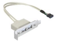 Delock Slot bracket - USB-Kabel - USB (W) zu 9-poliger USB-Header (W)