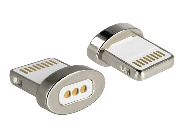 Delock Lightning Adapter - Anschluss (magnetisch)