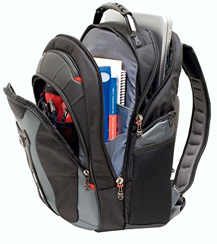 Wenger Pegasus - Notebook-Rucksack - 43 cm (17), Ansicht 4