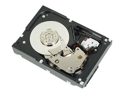 Dell EMC HDD 3.5 SATA 6G 7.2K 1.0TB (400-AUPW)